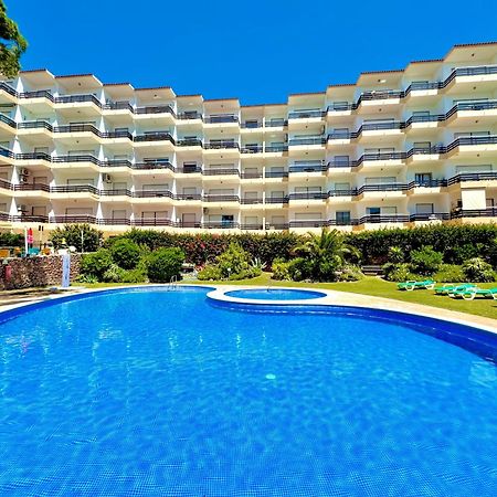 Vilamoura Palm Tree With Pool By Homing Exteriér fotografie